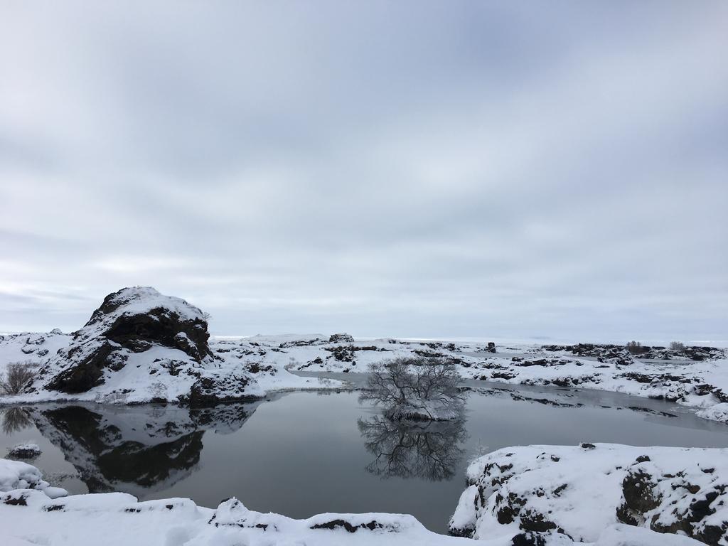 昂多夫斯塔维农场住宿加早餐旅馆 劳加尔 外观 照片